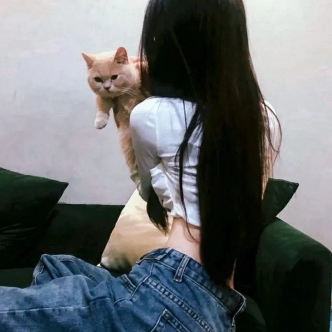 贝塔尼亚的回归 封面
