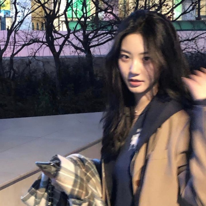 豺狼陷阱 封面